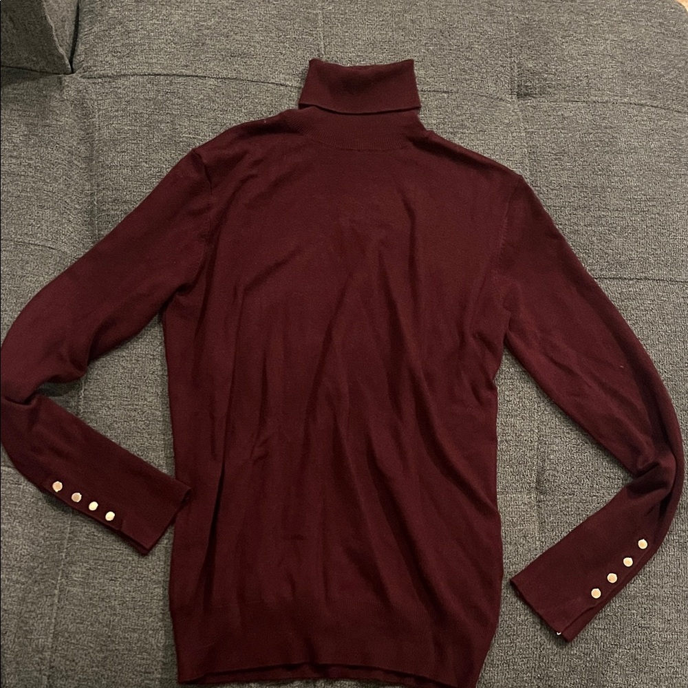 Zara Turtleneck